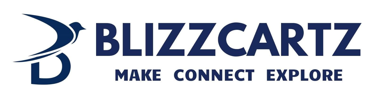 BLIZZCARTZ